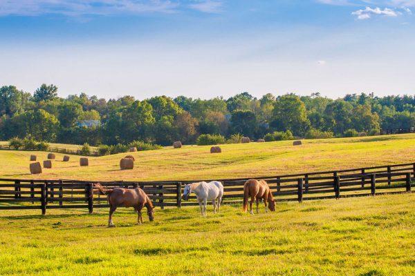 Farm and ranch builders Zbranek and Holt custom homes